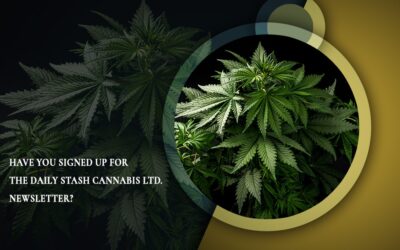 Have You Signed Up For The Daily Stash Cannabis Ltd. Newsletter?