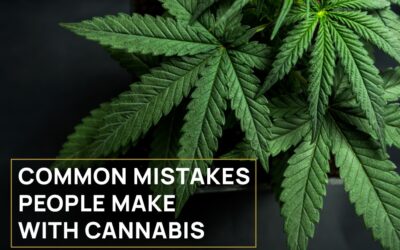 Common Mistakes People Make With Cannabis