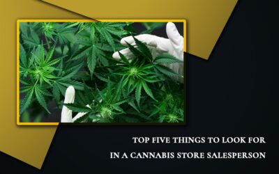 Top Five Things To Look for In A Cannabis Store Salesperson