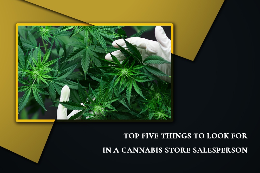 Top Five Things To Look for In A Cannabis Store Salesperson