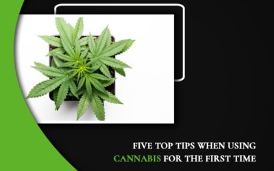 Five Top Tips When Using Cannabis For The First Time