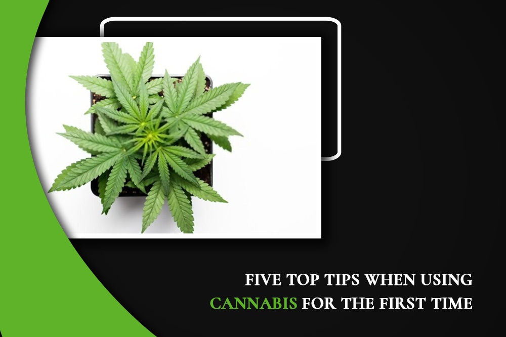 Five Top Tips When Using Cannabis For The First Time