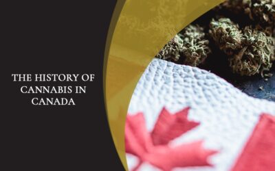 The History Of Cannabis In Canada