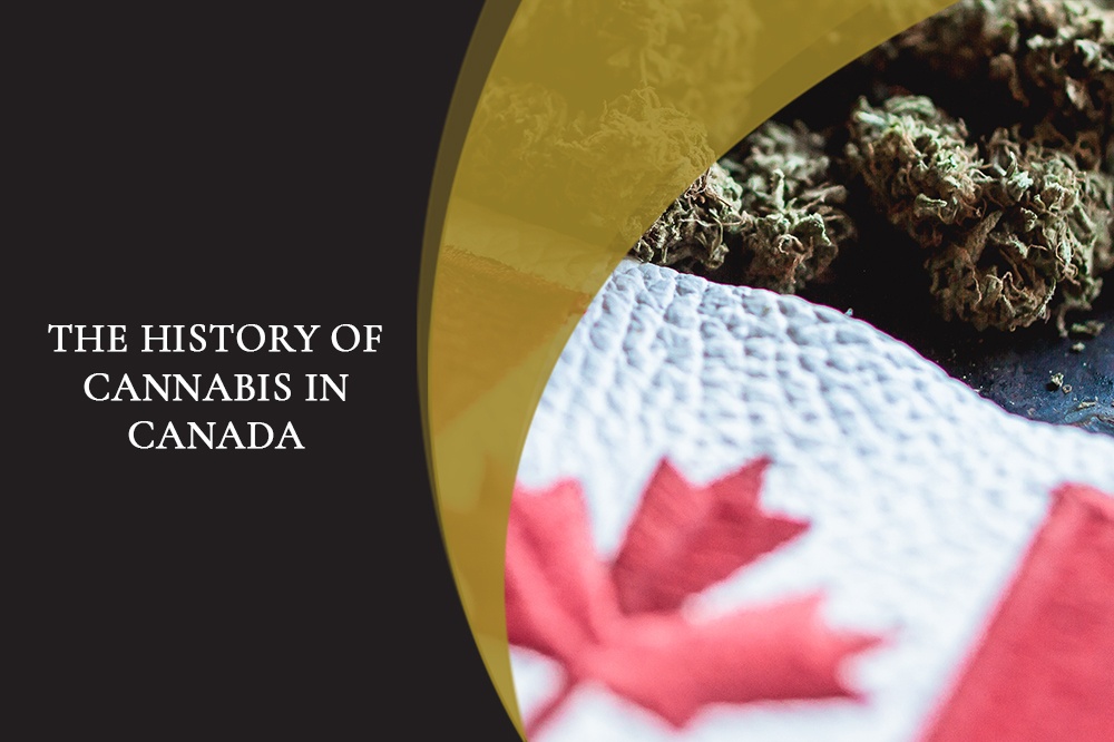 The History Of Cannabis In Canada