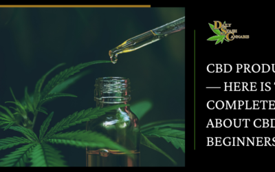 CBD Products — Here Is The Complete Guide About CBD for Beginners